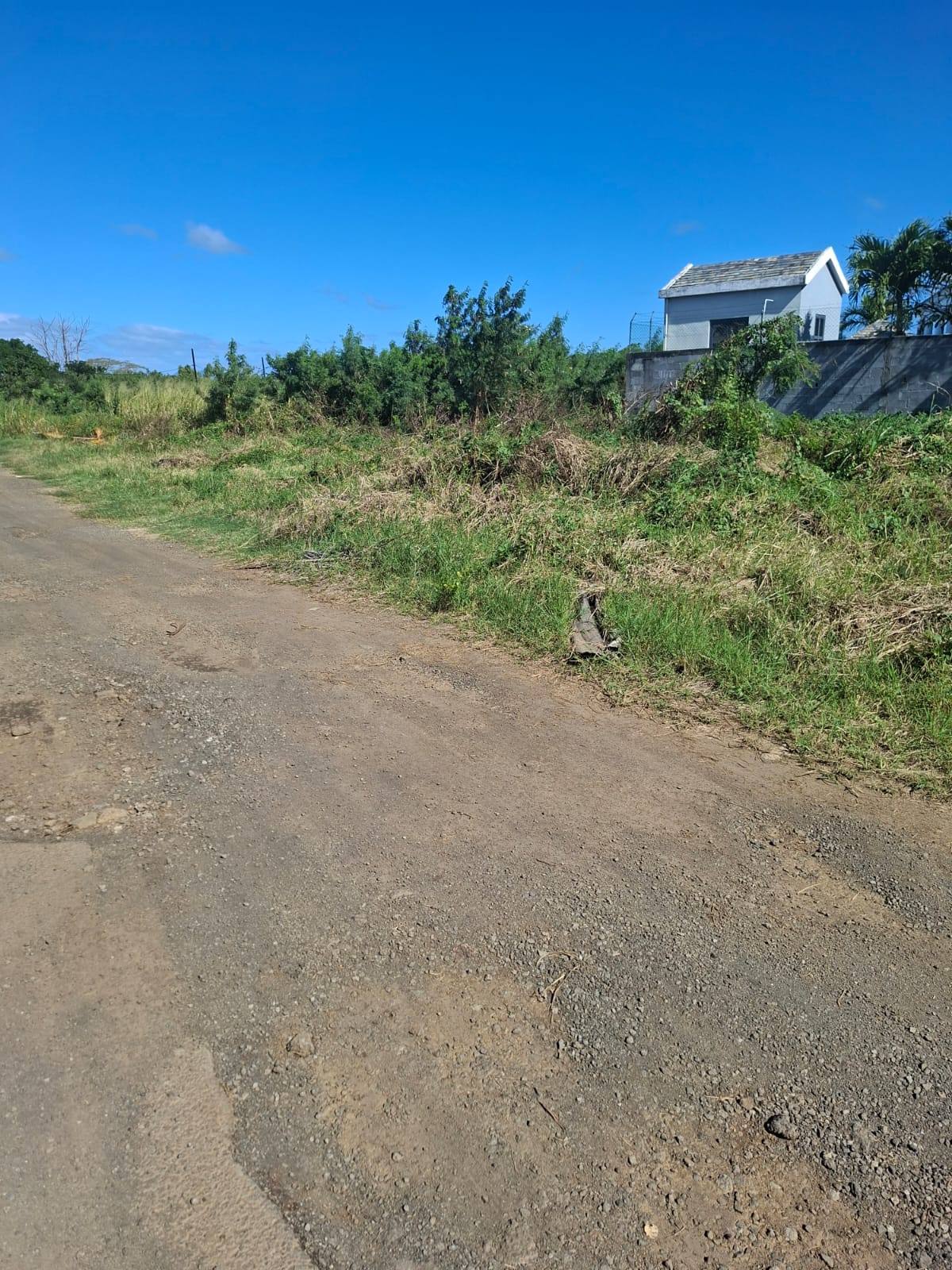Terrain Résidentiel à Vendre à Pereybère – Derrière Oasis 1
